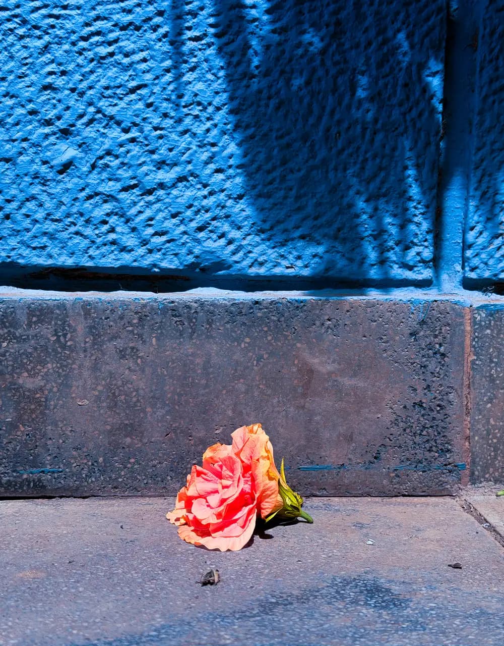 Obra de Álvaro Martín protegida con fotomatika