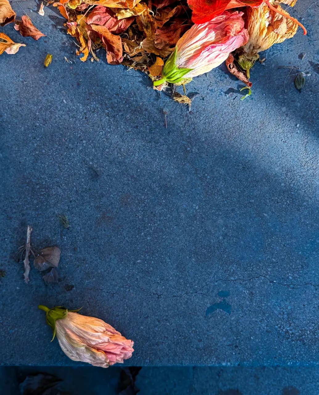 Obra de Álvaro Martín protegida con fotomatika