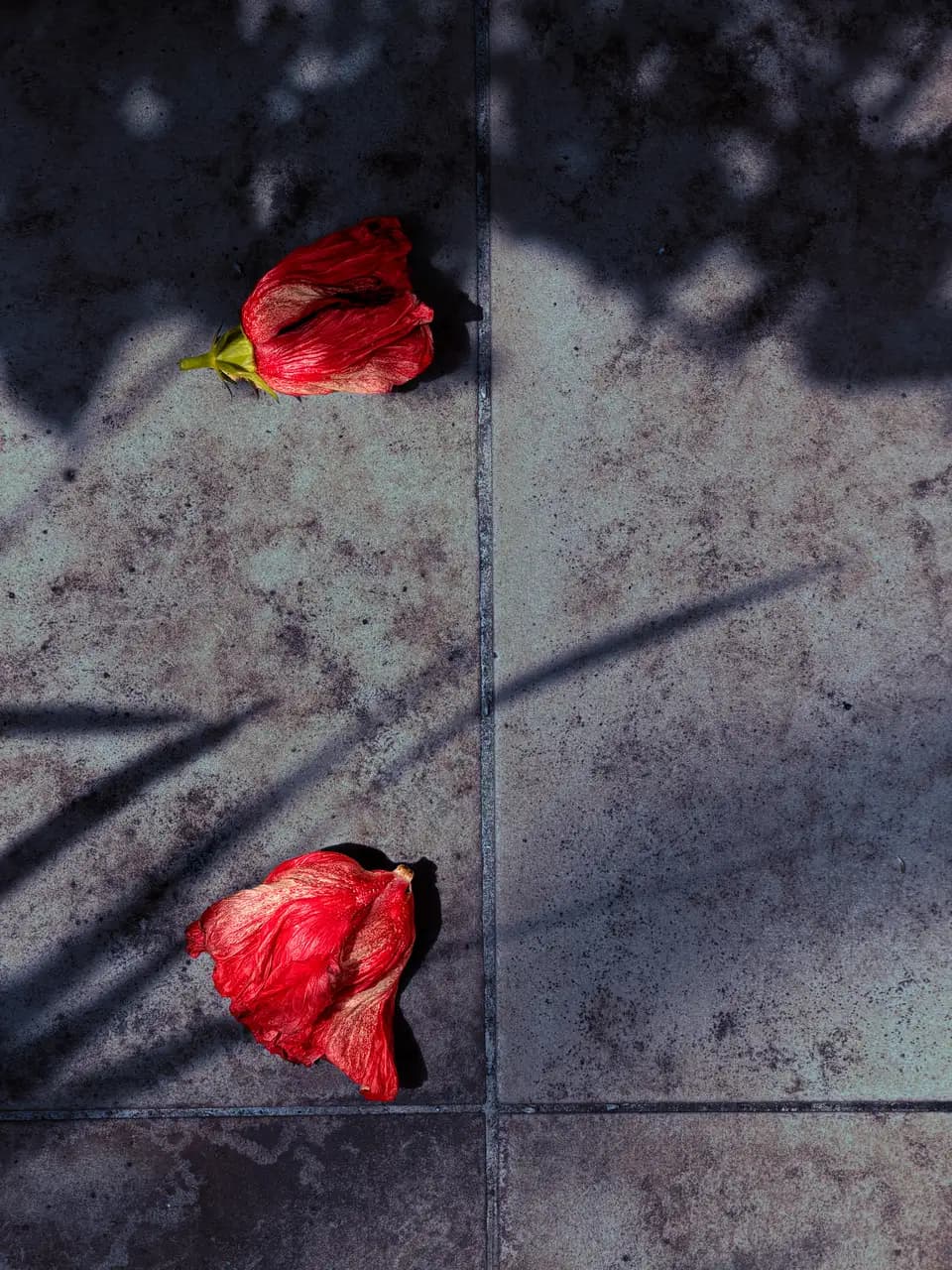 Obra de Álvaro Martín, protegida en fotomatika