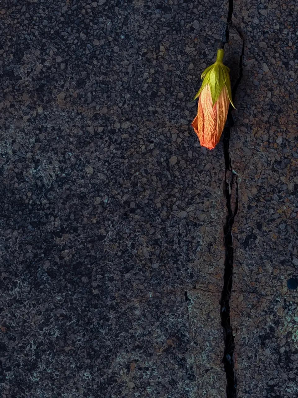 Obra de Álvaro Martín, protegida en fotomatika